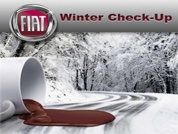 winter check up fiat group